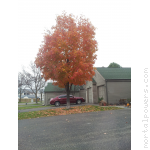 Fall is Here