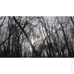 Winter hike