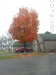 Fall is Here